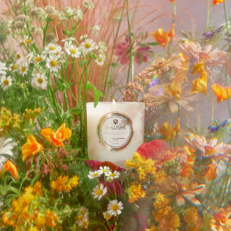 Voluspa Wildflowers Classic Boxed Candle 60timer